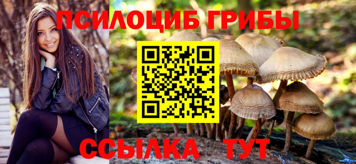Галлюциногенные грибы Psilocybe  Вход с VPN  Туапсе 