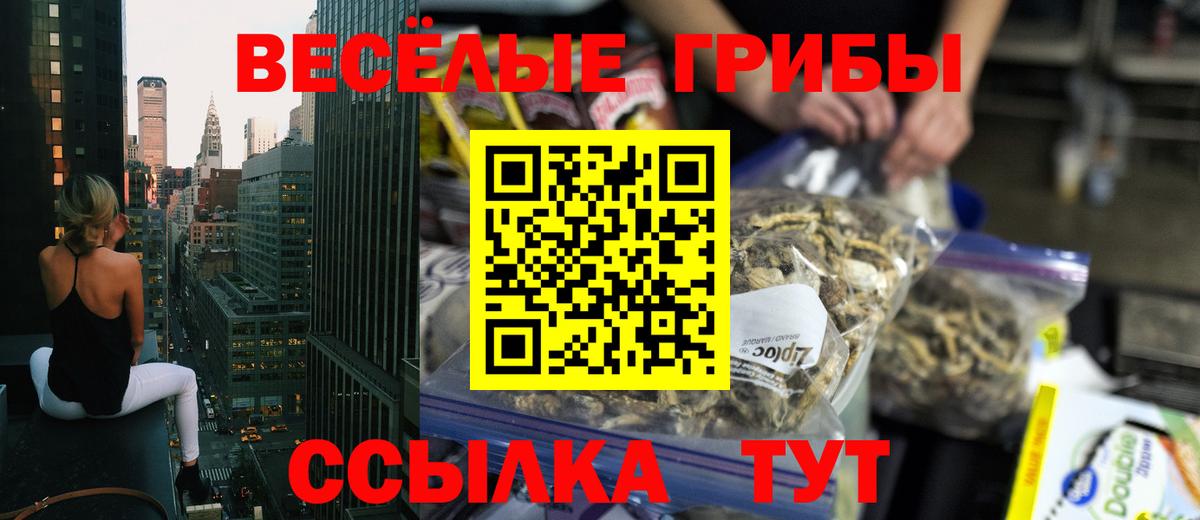 Псилоцибиновые грибы Cubensis Туапсе